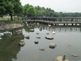 昆陽池公園