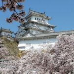 天空の白鷺 姫路城と満開の桜
